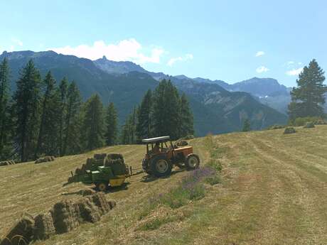 La ferme des Moulins