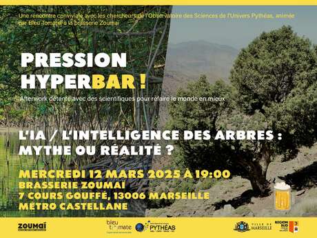 Pression hyperbar ! L’IA / L’Intelligence des Arbres : mythe ou réalité ?