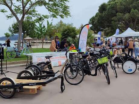 The beautiful spring