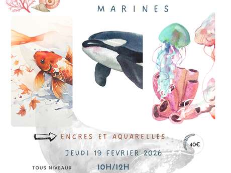 Stage encres et aquarelle : créatures marines