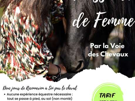 Puissance de femmes dexu jours pour soi auprès des chevaux