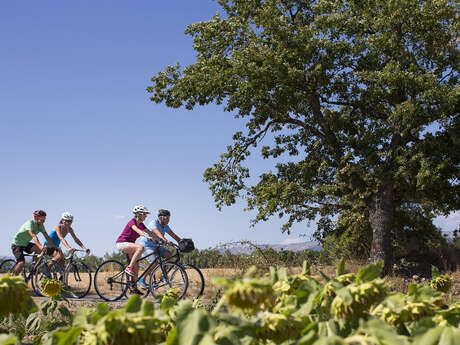 Parcours Cyclotourisme pour découvrir Istres