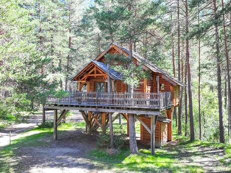 Cabane dans les arbres n°1