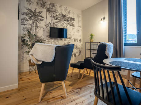 Meublé Puy de Mercoeur - 202