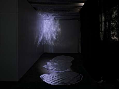 Performance artistique : The Space of the Tongue