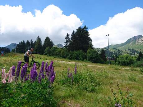 Découverte du Fatscoot d'été