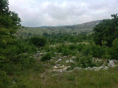 VENCE - Plan des Noves