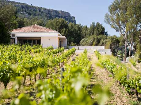 La Dona Tigana : visite d'un vignoble AOC et dégustation de 3 vins