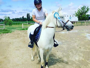 Tous en selle ! (découverte du cheval et du poney)