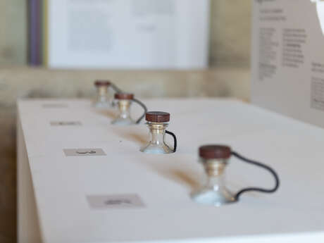 Gigondas Atelier sensoriel