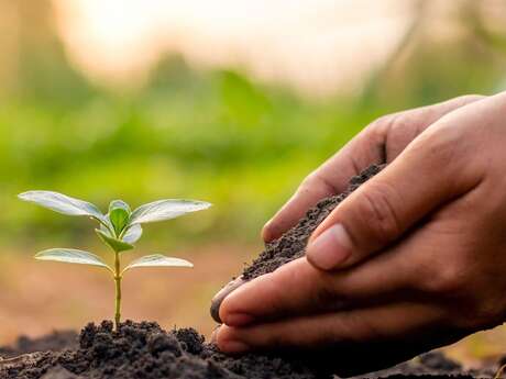 Troc de graines et plantes - Ressourcerie