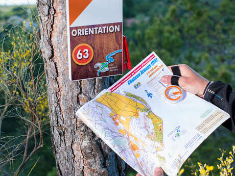 Orienteering