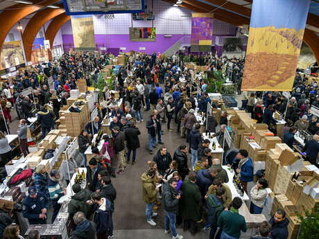 Marché aux vins d'Ampuis