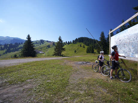 Piste de descente VTT La Marvel