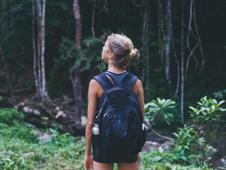 Randonnée pédestre