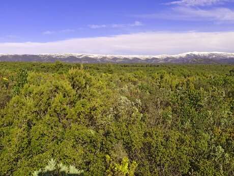 LE CASTELLET - Font de Mars