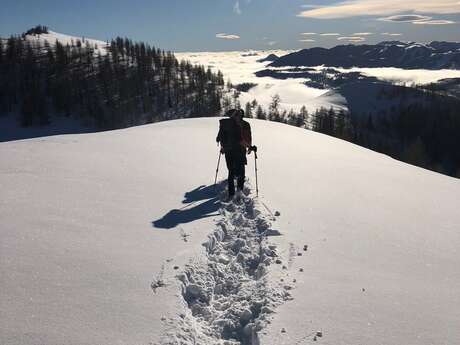 Ciaspolata zen e benessere in inverno