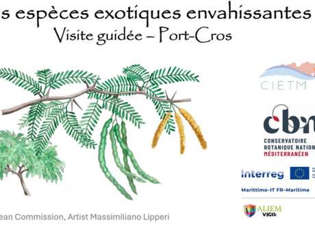 Balade nature Port-Cros : les trésors du Var menacés