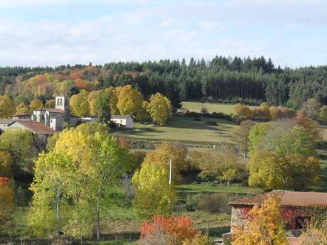 Marche  des châtaignes