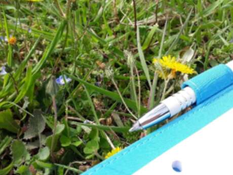 ‘Writing in nature’ workshop