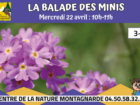 La Balade des Minis : Les minis couleurs de la nature