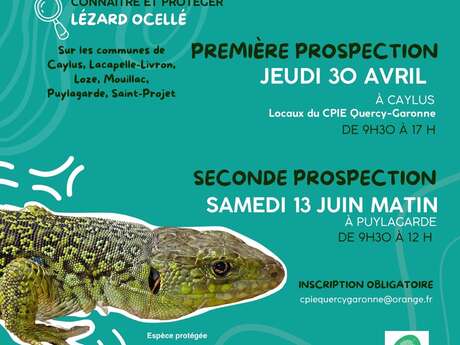 Observateur de la biodiversité