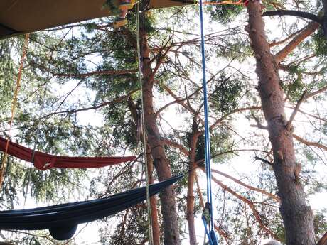 Summer rendezvous: Perched explorers