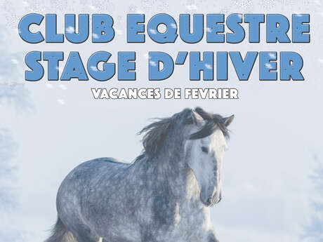 Stage Equestre d'Hiver