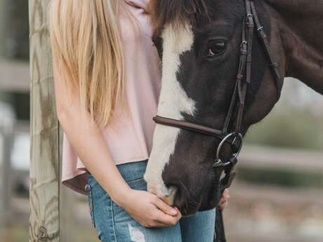 Riding lessons - Salammbo Stables