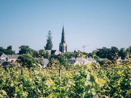 Parc du Fresne et son platane centenaire