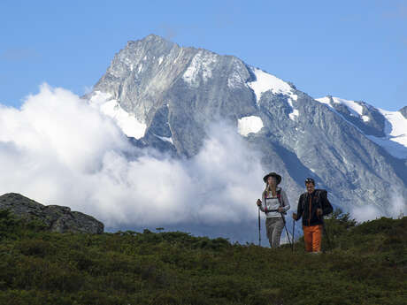 Sainte-Foy Natur'Day