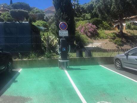 Borne de recharge pour véhicules électriques