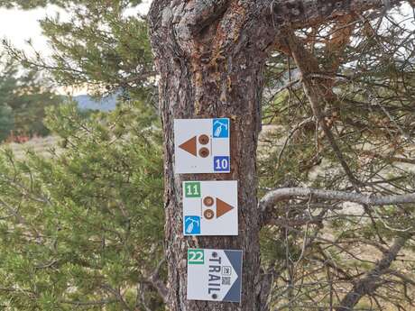 Circuit VTT N°10: La Nordique