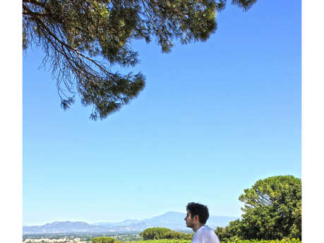 Balade dans le vignoble de Châteauneuf-du-Pape