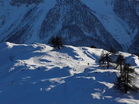 La tête et les jambes - Espace nordique
