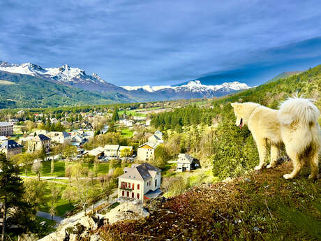 Cani-balade nordique et nature avec Yupik Aventures Nordiques