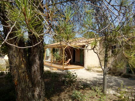 Sous les Pins de la Tuilière