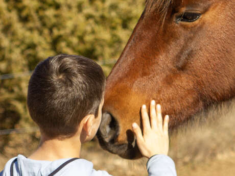 Equicoaching - Médiation animale