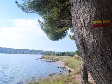 Eco-walk around the Berre pond