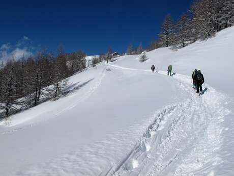 Montée au Refuge Ricou en raquettes