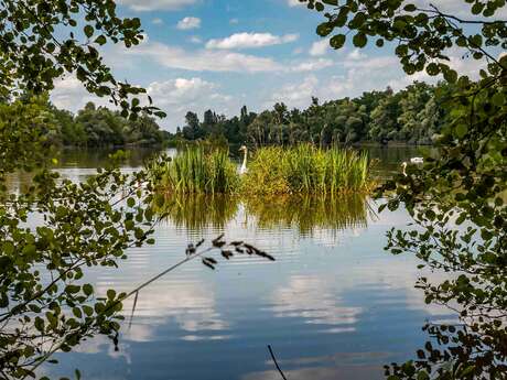Gravière aux Oiseaux - « Ornithologues en herbe »