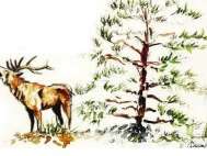 Immersions, cinq ans sur le Ventoux - Exposition