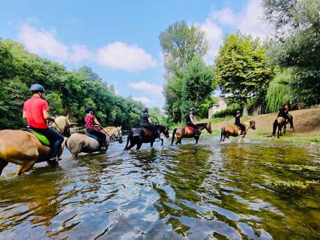 Randonnée équestre "rando baignade rivière"
