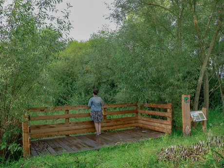 Les balades riorgeoises - Les ponts