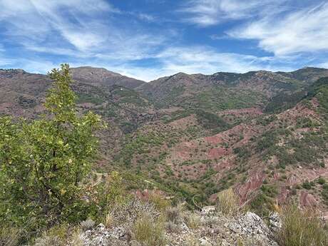 Faune et flore de la vallée de la Roudoule