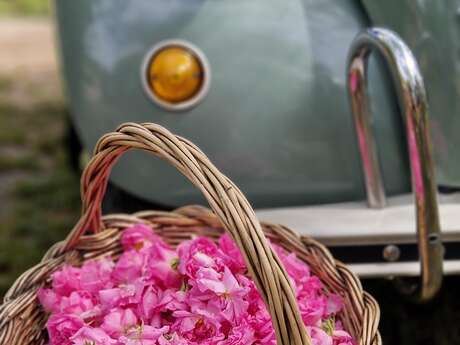 Partez en 2CV sur la route des fleurs à parfum avec Mademoiselle Riviera - Grasse