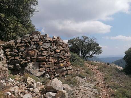 ESCRAGNOLLES - Plateau de Briasq