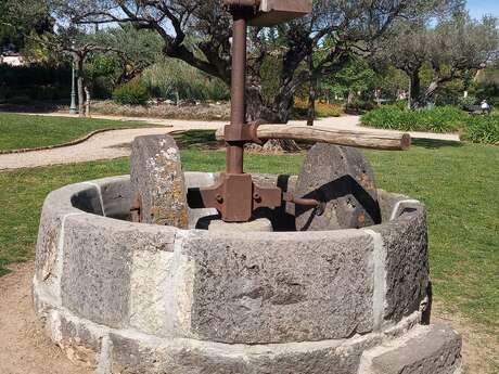 Guided tour: From the mill to the press through history