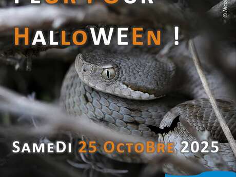 Halloween à l'Escarelle