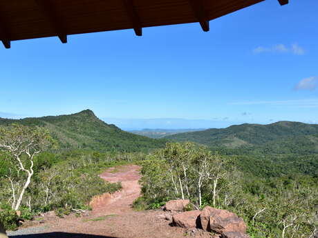 Sentier pédestre du Marais – Parc provincial des Grandes Fougères